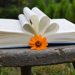 livre_et_fleur.jpg Thumbnail