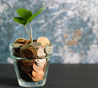Plante poussant dans des pièces de monnaie