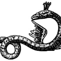 13511408360_043_lr01.jpg